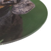 Ansicht der appelfarbenen Dackel Schneidebrett (Ecke)