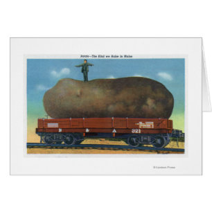 Ansicht der Art der Kartoffeln angehoben in Maine