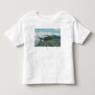Ansicht der berühmten Zahn-Eisenbahn Kleinkind T-shirt