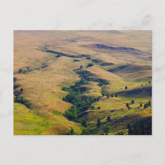 Ansicht der Ebenen um die Bärenstube herum, SD Postkarte (Vorderseite)