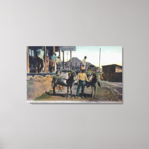 Ansicht der Esel, die WaterBisbee, AZ tragen Leinwanddruck