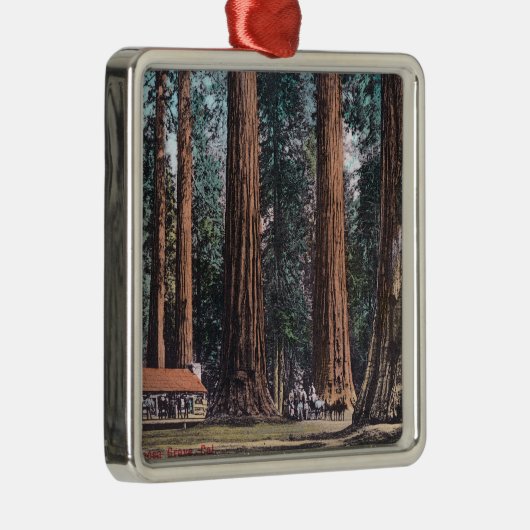 Ansicht der großen Bäume in Mariposa Waldung Ornament Aus Metall (Rechts)