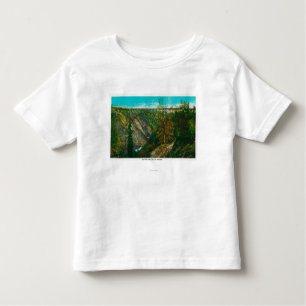 Ansicht der Hurrikangulch-Brücke, Alaska Kleinkind T-shirt