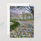 Ansicht der Kirschblüten (& Viola) Postkarte (Vorne/Hinten)