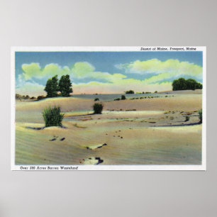 Ansicht der Maine-Wüste Poster