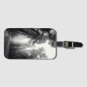 Ansicht der Mammutbaum-Bäume im Wald Gepäckanhänger (Vorderseite (Horizontal))