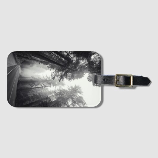 Ansicht der Mammutbaum-Bäume im Wald Gepäckanhänger (Vorderseite (Horizontal))