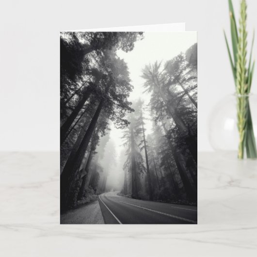 Ansicht der Mammutbaum-Bäume im Wald Karte (Vorderseite)