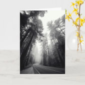 Ansicht der Mammutbaum-Bäume im Wald Karte (Gelbe Blume)