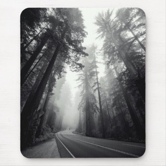 Ansicht der Mammutbaum-Bäume im Wald Mousepad (Vorne)