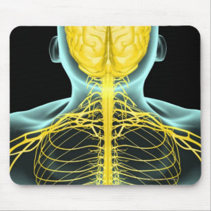 Ansicht der Nerven im oberen Körper von oben Mousepad