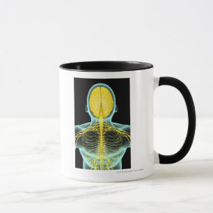 Ansicht der Nerven im oberen Körper von oben Tasse