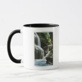 Ansicht der Regenbogenfälle 2 Tasse (Links)