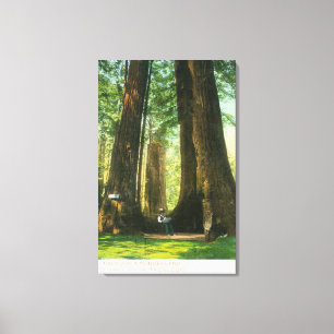 Ansicht der Rotholz-Zwillinge an der großen Leinwanddruck