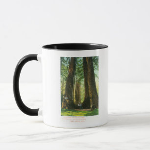 Ansicht der Rotholz-Zwillinge an der großen Tasse