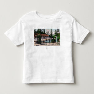 Ansicht der schwimmenden PoolAdams Frühlinge, CA Kleinkind T-shirt