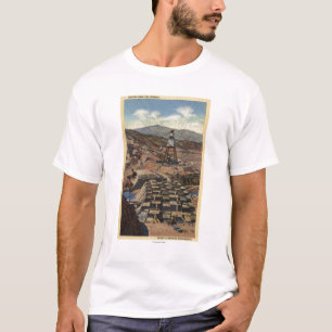 Ansicht der Shasta Verdammung T-Shirt