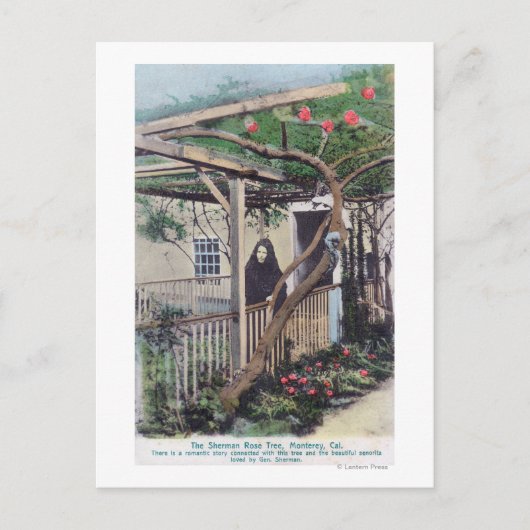Ansicht der Sherman-Rose TreeMonterey, CA Postkarte (Vorderseite)