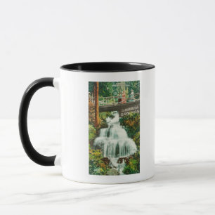 Ansicht der unteren FallsShasta Frühlinge, CA Tasse