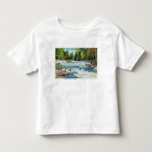 Ansicht der wilden Katzen-Fluss-und Jackson-Fälle Kleinkind T-shirt (Vorderseite)