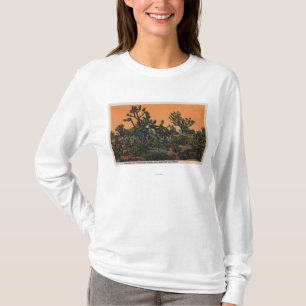 Ansicht der Yucca-Bäume in der Mohave-Wüste T-Shirt