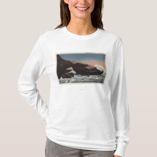 Ansicht des Alligatorkopfes, La Jolla T-Shirt (Vorderseite)