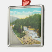 Ansicht des Ammonoosuc senken Fälle Silbernes Ornament (Links)