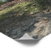 Ansicht des Delaware River Plakats Poster (Ecke)
