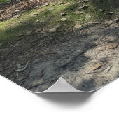 Ansicht des Delaware River Plakats Poster (Ecke)