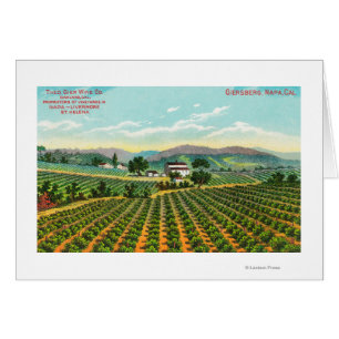 Ansicht des Giersberg VineyardNapa, CA