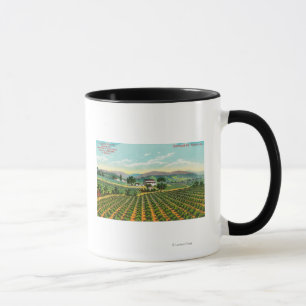 Ansicht des Giersberg VineyardNapa, CA Tasse