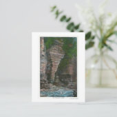 Ansicht des Kopfes des Elefanten Postkarte (Stehend Vorderseite)