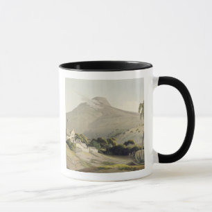 Ansicht des Kopfes des Löwes, überziehen 28 von Tasse