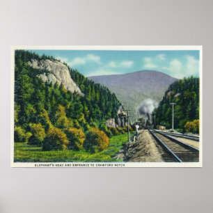 Ansicht des Kopfes u. der Crawford-Kerbe Entranc Poster