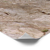 Ansicht des Lion Gateway Poster (Ecke)