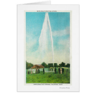 Ansicht des Myrtledale Geysirs an den heißen