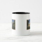 Ansicht des Observatoriums und der Teleskopkuppel Tasse (Zentrum)