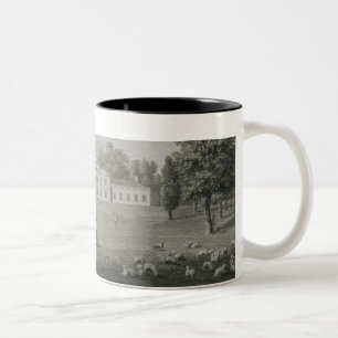 Ansicht des Palastes bei Kew vom Rasen, graviert Zweifarbige Tasse