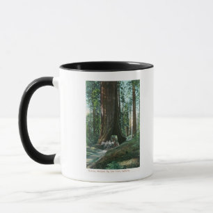 Ansicht des Pferdewagens unter Wawona Baum Tasse