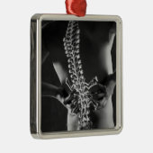 Ansicht des spinalen Akkords Silbernes Ornament (Rechts)