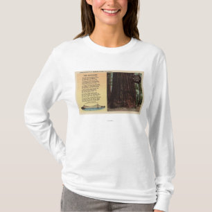 Ansicht des Weg-Rotholzes flach T-Shirt