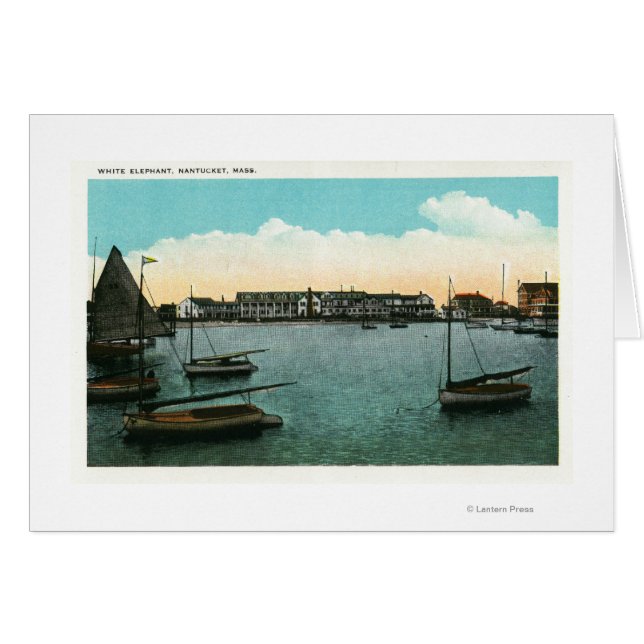 Ansicht des weißen Elefanten (Vorderseite (Horizontal))