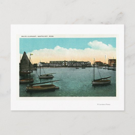 Ansicht des weißen Elefanten Postkarte (Vorderseite)