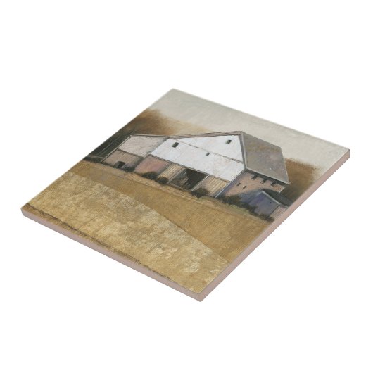 Ansicht des weißen Stalls Fliese (Seite)