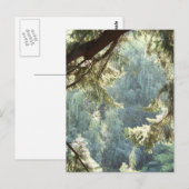 Ansicht durch die Bäume Postkarte (Vorne/Hinten)