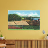 Ansicht einer Cranberry Plantation Leinwanddruck (Insitu (Wohnzimmer))