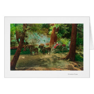 Ansicht eines Bühne-Zuges unter großen Bäumen