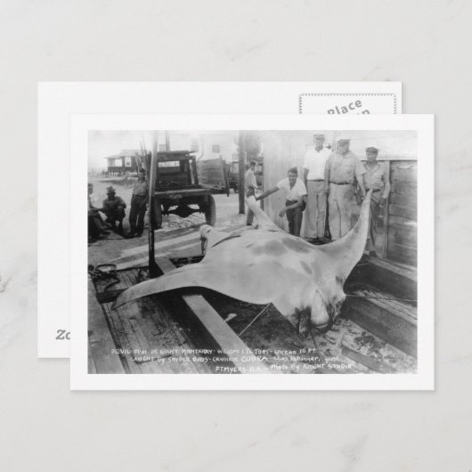 Ansicht eines Caught Manray Postkarte (Vorne/Hinten)