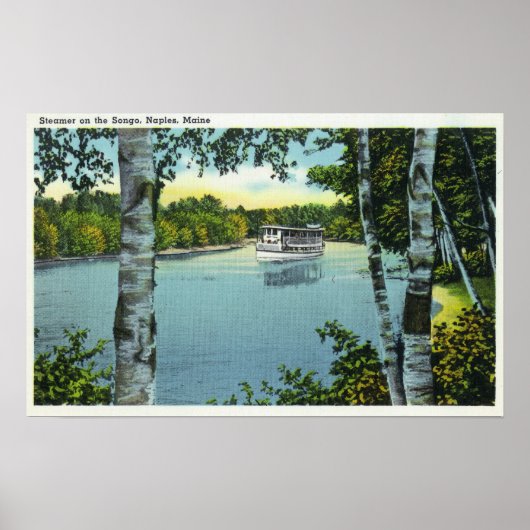 Ansicht eines Dampfers auf dem Songo River Poster (Vorne)