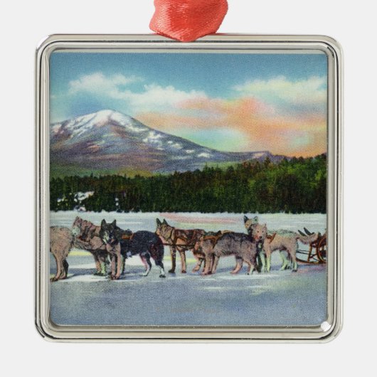 Ansicht eines Dogsled Teams auf Mirror See Silbernes Ornament (Vorne)